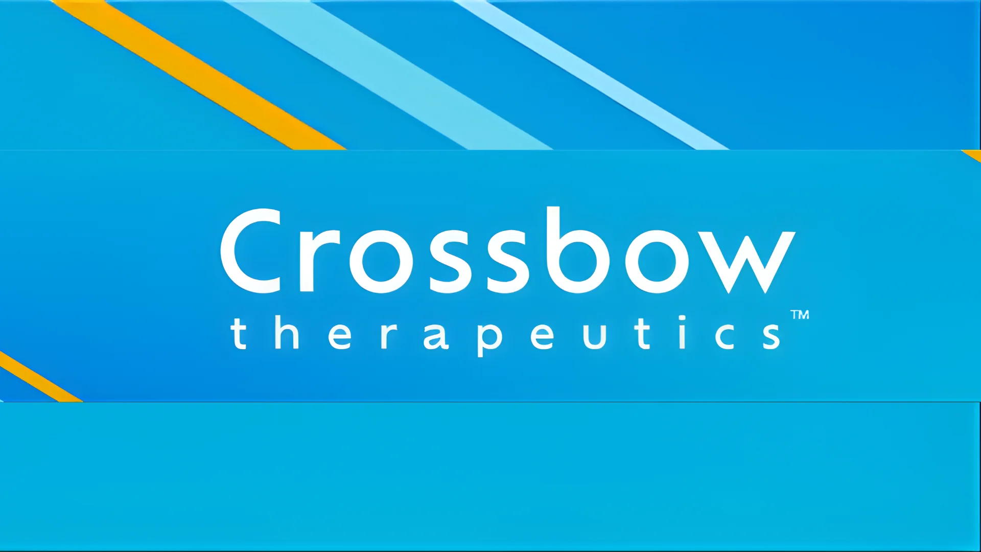 Crossbow Therapeutics Raises $77M in Series B to Advance Cancer Antibody Pipeline