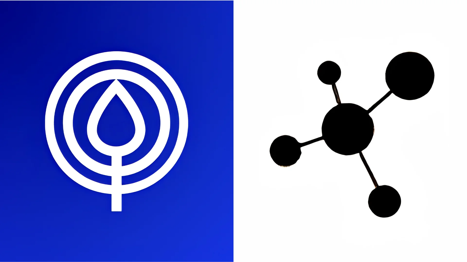 Raintree Acquires Spike Technologies for Agentic AI Voice